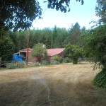 Reiki Ranch School grounds